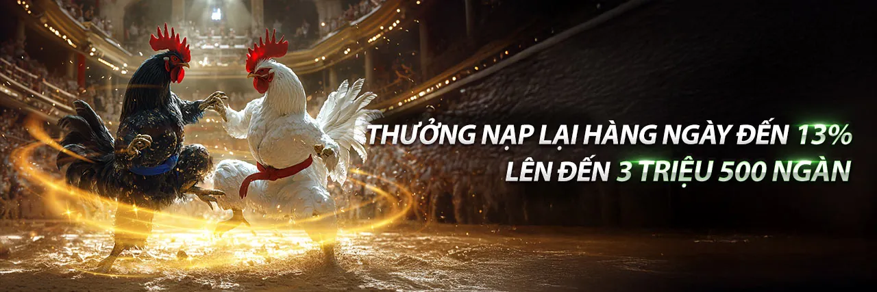 Đá Gà Quận Bình Tân